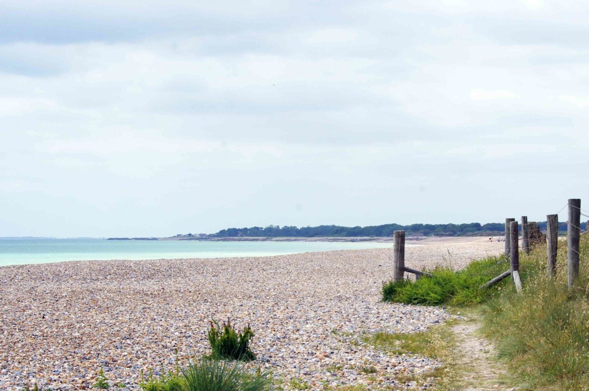 Littlehampton-West-Beach-West-Sussex-7-scaled.jpg