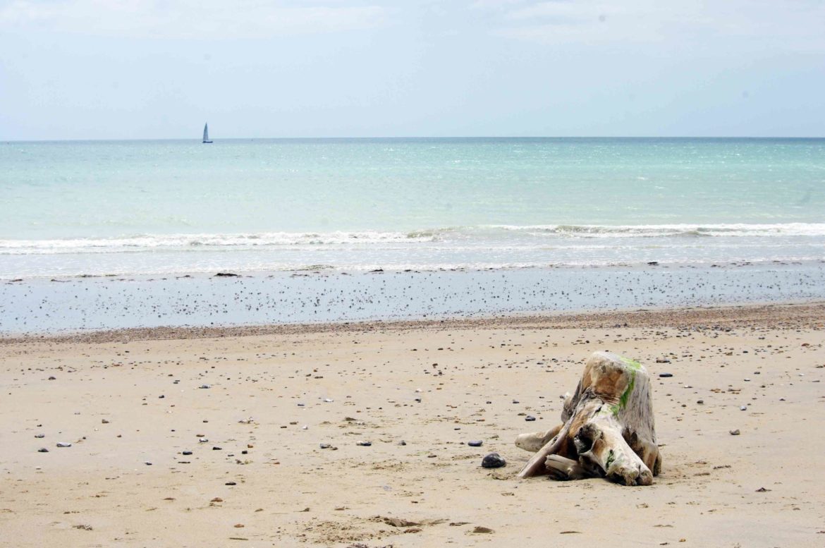 Littlehampton-West-Beach-West-Sussex-8-scaled.jpg