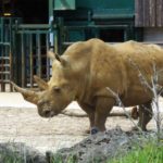 Longleat Safari Park and Adventure Gardens, Warminster, Wiltshire