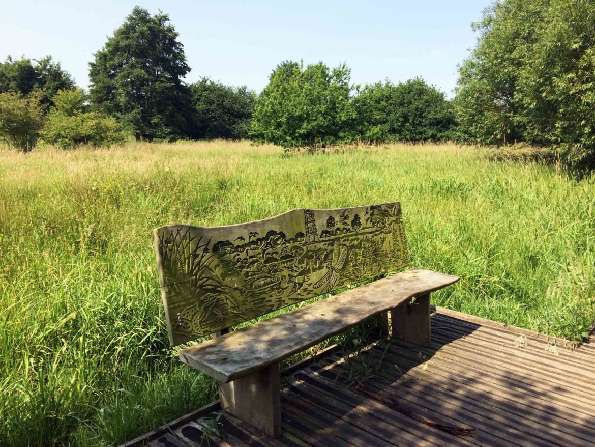 Riverside-Park-Nature-Reserve-Guildford-aka-Stoke-Meadows-Guildford-10.jpg