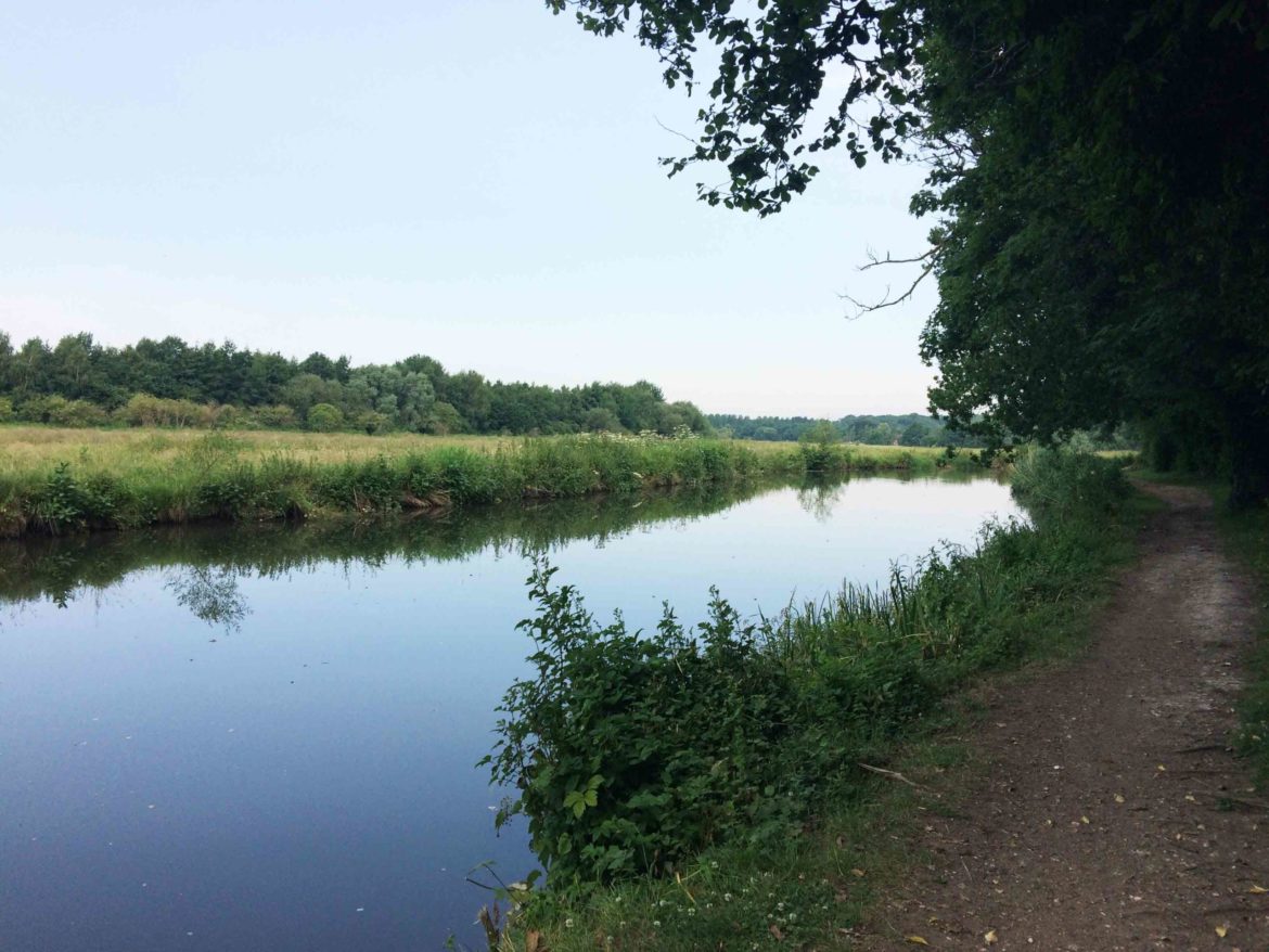 Riverside-Park-Nature-Reserve-Guildford-aka-Stoke-Meadows-Guildford-20-scaled.jpg