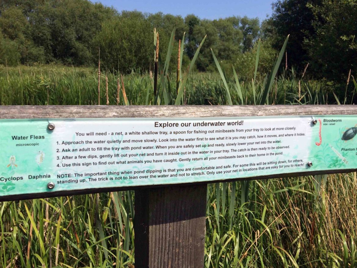 Riverside-Park-Nature-Reserve-Guildford-aka-Stoke-Meadows-Guildford-7-scaled.jpg