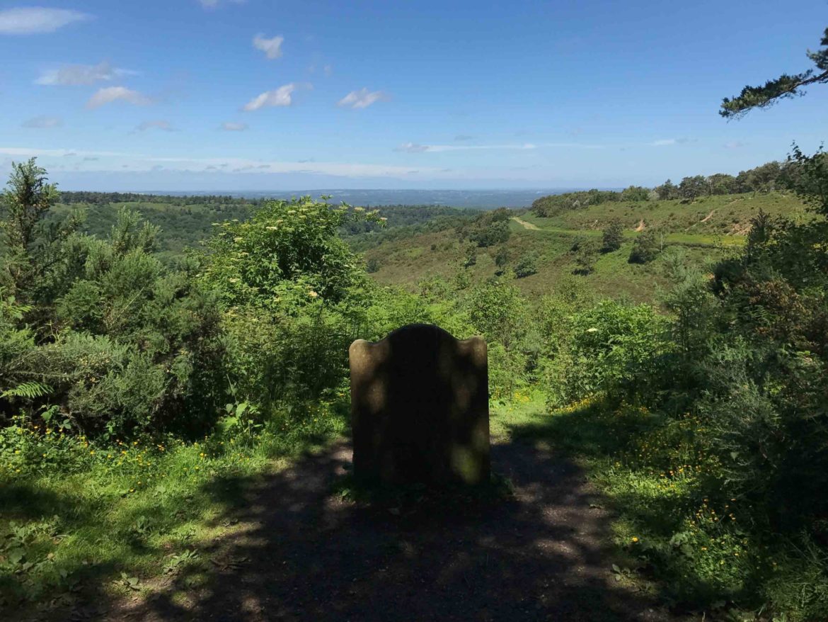 Hindhead-Commons-and-Devils-Punchbowl-National-Trust-Surrey-13-scaled.jpg