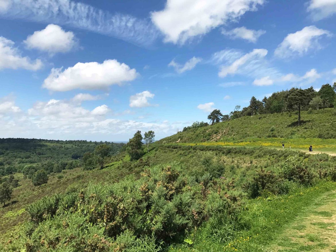 Hindhead-Commons-and-Devils-Punchbowl-National-Trust-Surrey-5.jpg