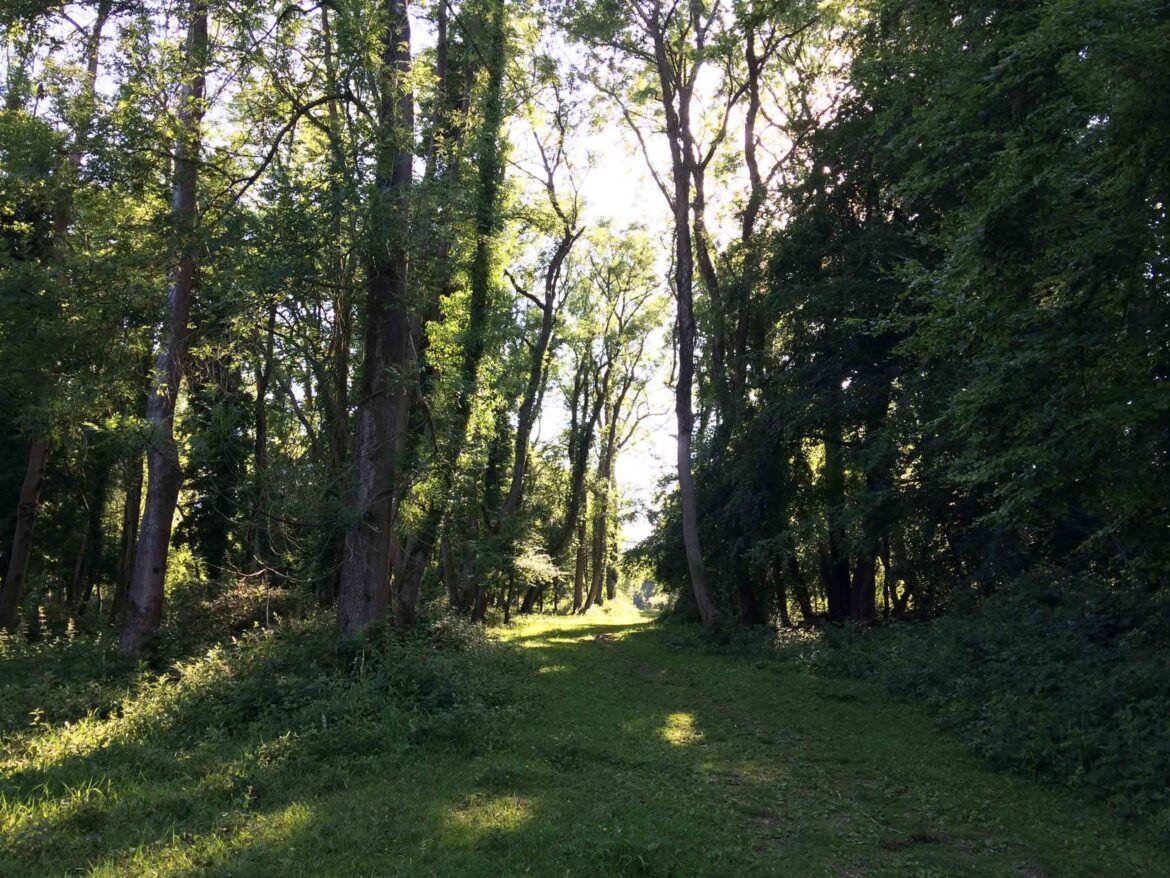 Selbourne-Common-National-Trust-Selbourne-Hampshire-11-scaled.jpg