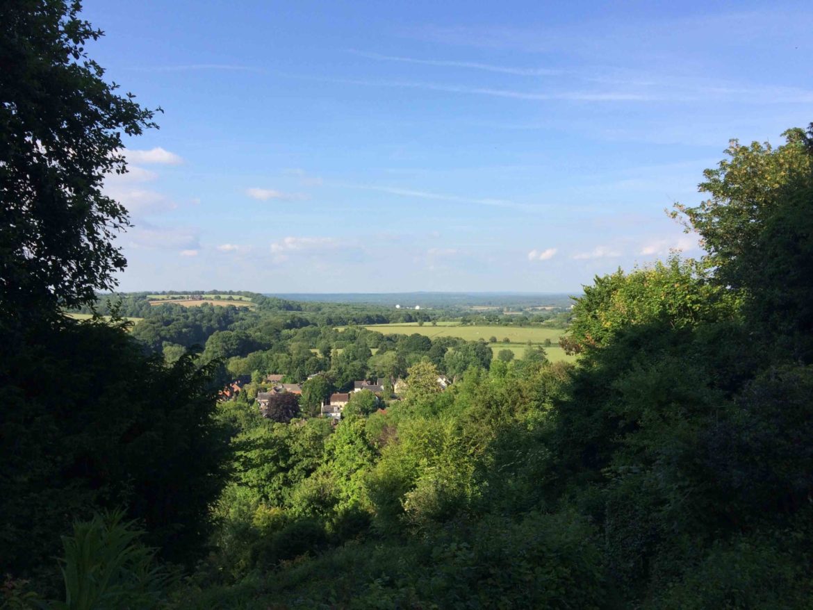 Selbourne-Common-National-Trust-Selbourne-Hampshire-12-scaled.jpg