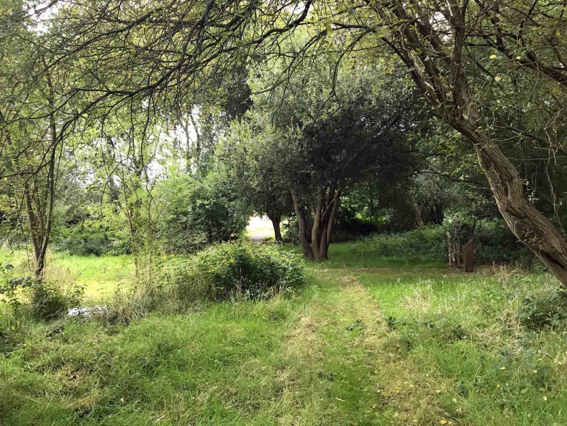 Snaky-Lane-Nature-Reserve-Ash-Vale-Surrey-10.jpg