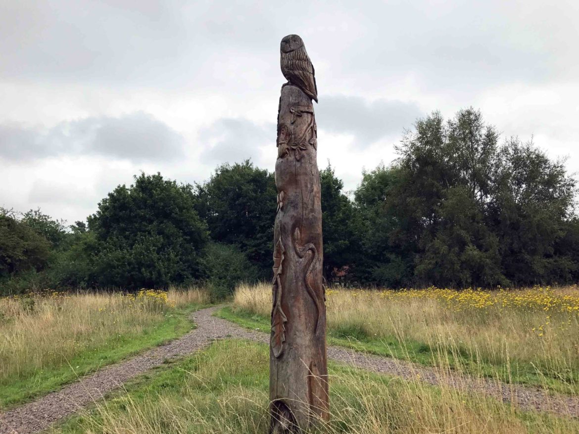 Snaky-Lane-Nature-Reserve-Ash-Vale-Surrey-8-scaled.jpg