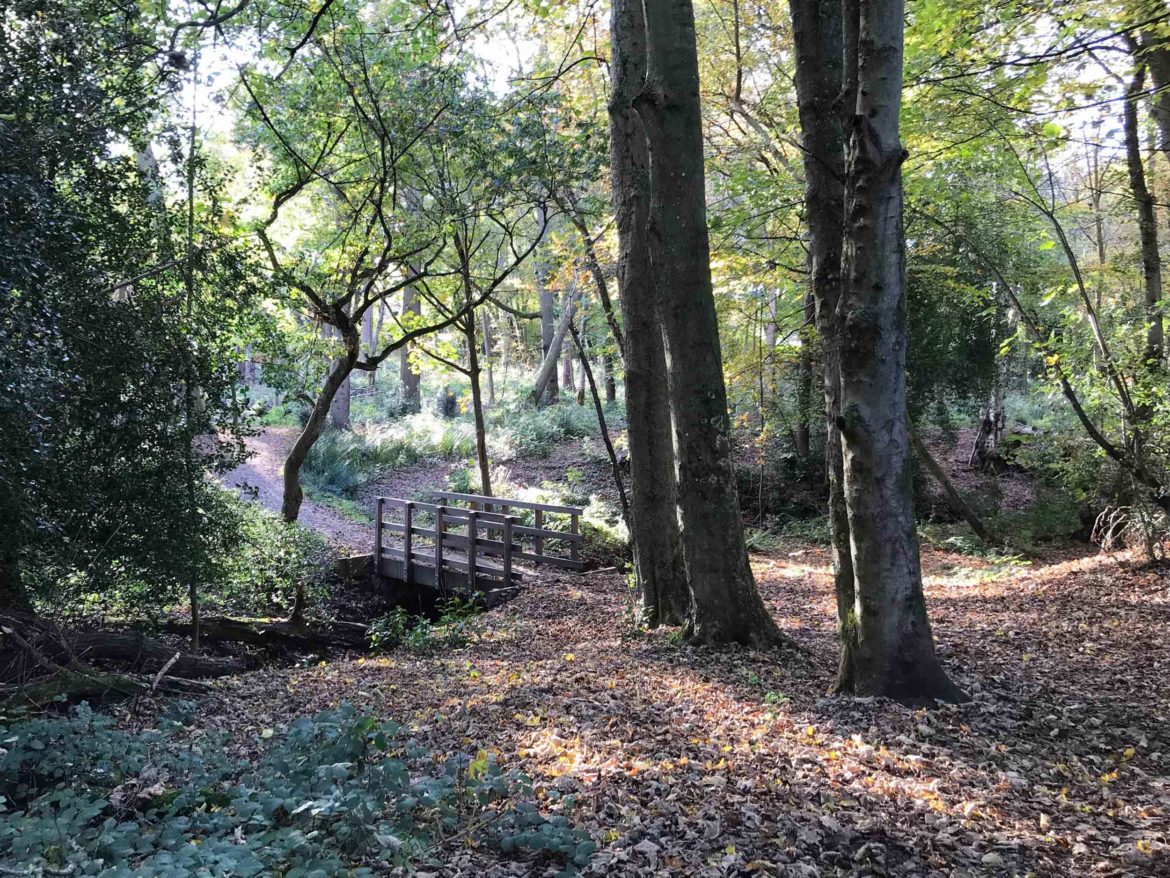 Bordon-Inclosure-Bordon-Surrey-10.jpg