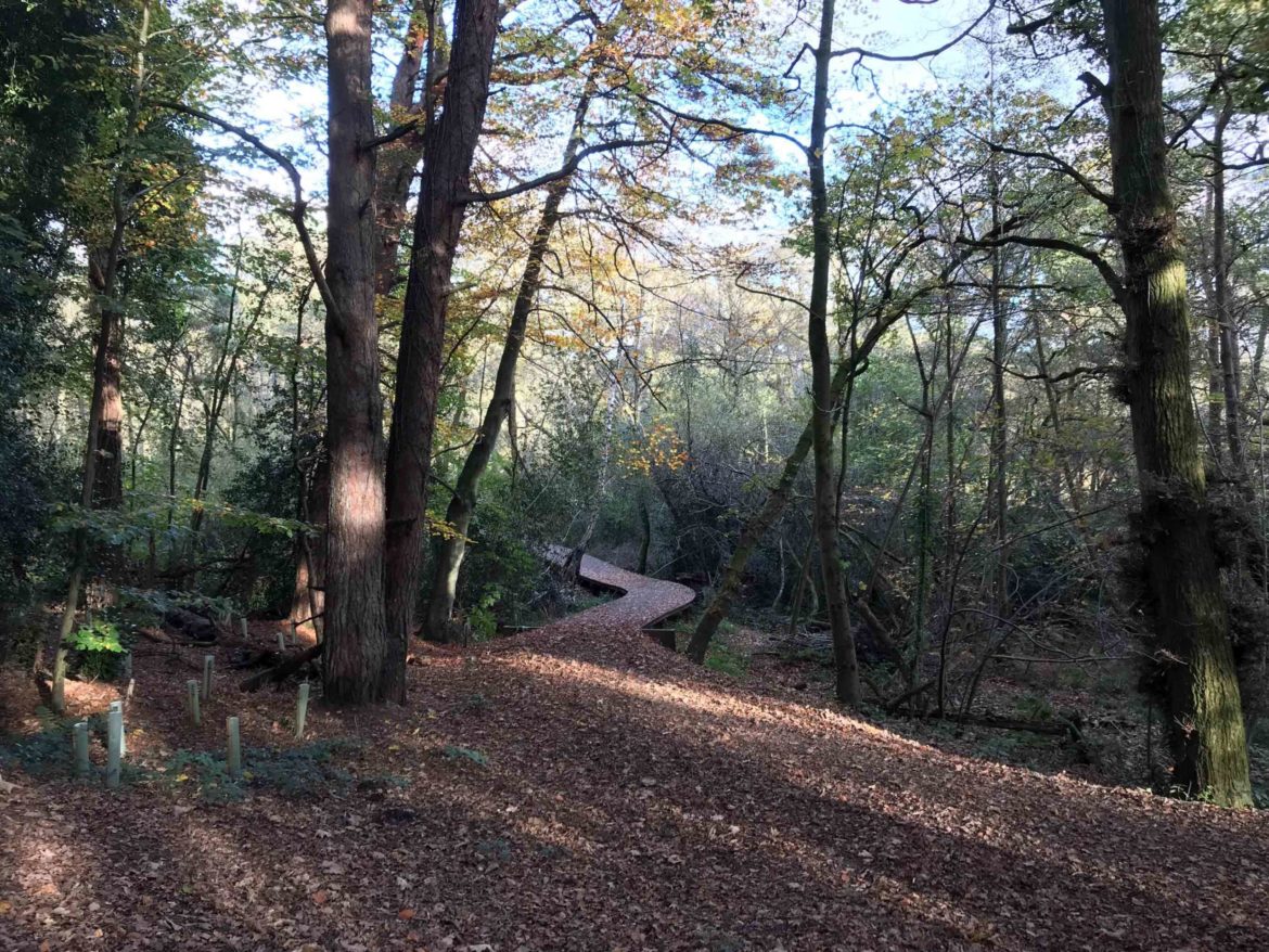 Bordon-Inclosure-Bordon-Surrey-14-scaled.jpg