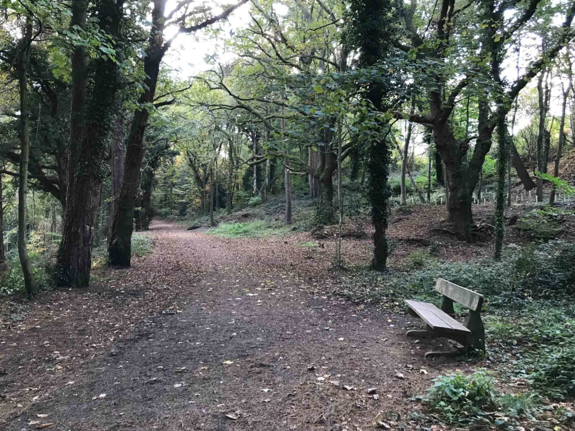 Bordon-Inclosure-Bordon-Surrey-15-scaled.jpg