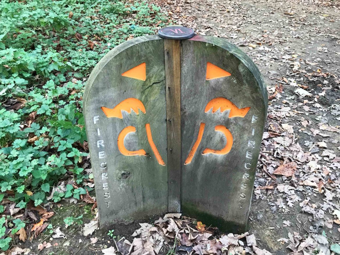 Bordon-Inclosure-Bordon-Surrey-2-scaled.jpg