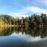 Thursley Common and Moat Pond, Thursley, Surrey