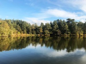Thursley Common and Moat Pond, Thursley, Surrey