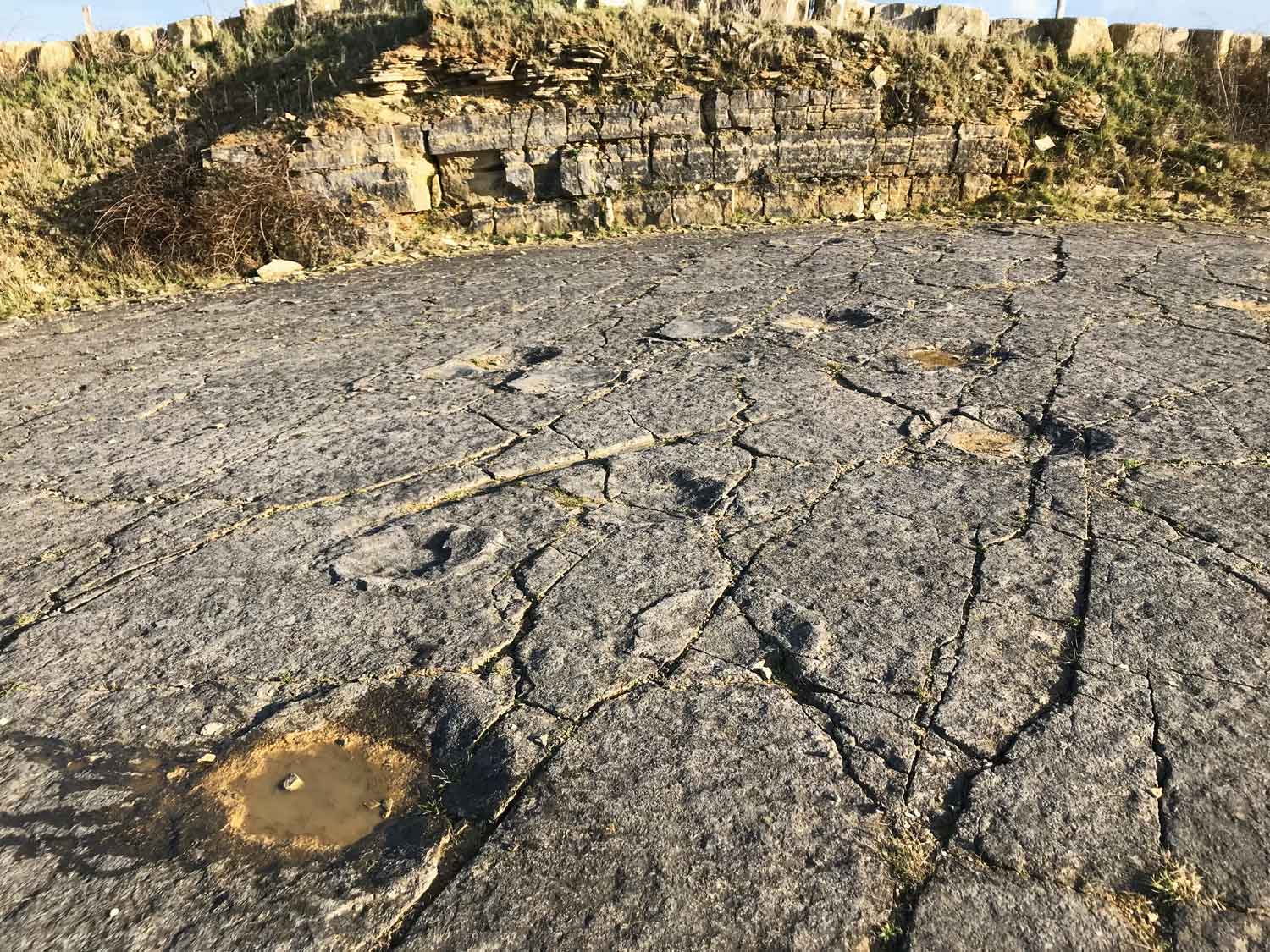 dinosaur-footprints-keates-quarry-spyway-langton-matravers-swanage