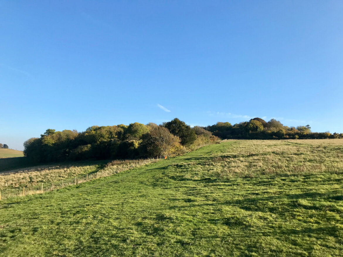 Danebury-Hillfort-Andover-02.jpeg