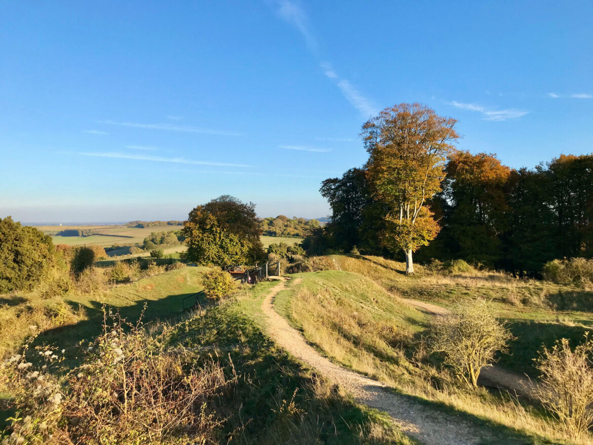 Danebury-Hillfort-Andover-05.jpeg