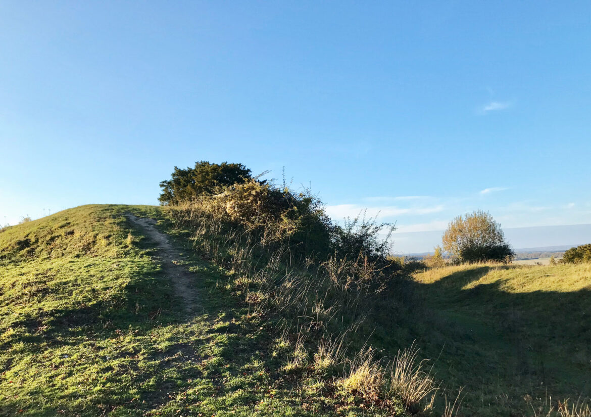 Danebury-Hillfort-Andover-08.jpeg