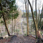 West Hanger in Shere Woodlands in Shere, Near Guildford, Surrey Hills