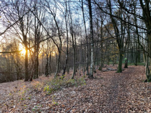 West Hanger in Shere Woodlands in Shere, Near Guildford, Surrey Hills