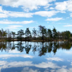 Thursley Common and Moat Pond, Thursley, Surrey