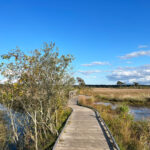 Thursley Common and Moat Pond, Thursley, Surrey