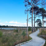 Thursley Common and Moat Pond, Thursley, Surrey