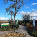 Thursley Common and Moat Pond, Thursley, Surrey