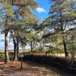 Thursley Common and Moat Pond, Thursley, Surrey