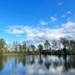 Thursley Common and Moat Pond, Thursley, Surrey