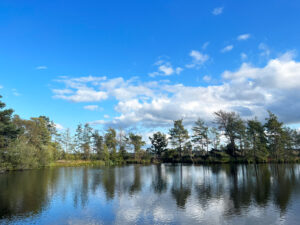 Thursley Common and Moat Pond, Thursley, Surrey