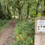 Normandy Common Woods in Normandy, Near Guildford, Surrey