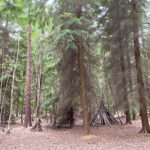 Normandy Common Woods in Normandy, Near Guildford, Surrey