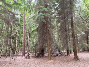 Normandy Common and Play Area, Near Guildford, Surrey