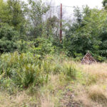 Normandy Common Orchard in Normandy Near Guildford, Surrey