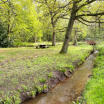 Normandy Common and Adventure Play Area in Normandy Near Guildford, Surrey