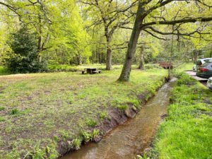 Normandy Common and Play Area, Near Guildford, Surrey
