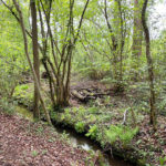 Normandy Common and Adventure Play Area in Normandy Near Guildford, Surrey