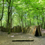 Box Hill Natural Play Trail, Box Hill, Dorking, Surrey