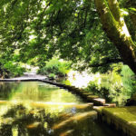 The Box Hill Stepping Stones, Box Hill, Dorking, Surrey