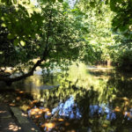The Box Hill Stepping Stones, Box Hill, Dorking, Surrey