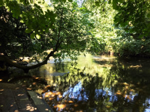 The Box Hill Stepping Stones, Box Hill, Dorking, Surrey