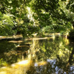 The Box Hill Stepping Stones, Box Hill, Dorking, Surrey