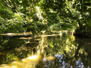 The Box Hill Stepping Stones, Box Hill, Dorking, Surrey