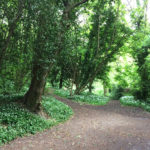The Box Hill Stepping Stones, Box Hill, Dorking, Surrey
