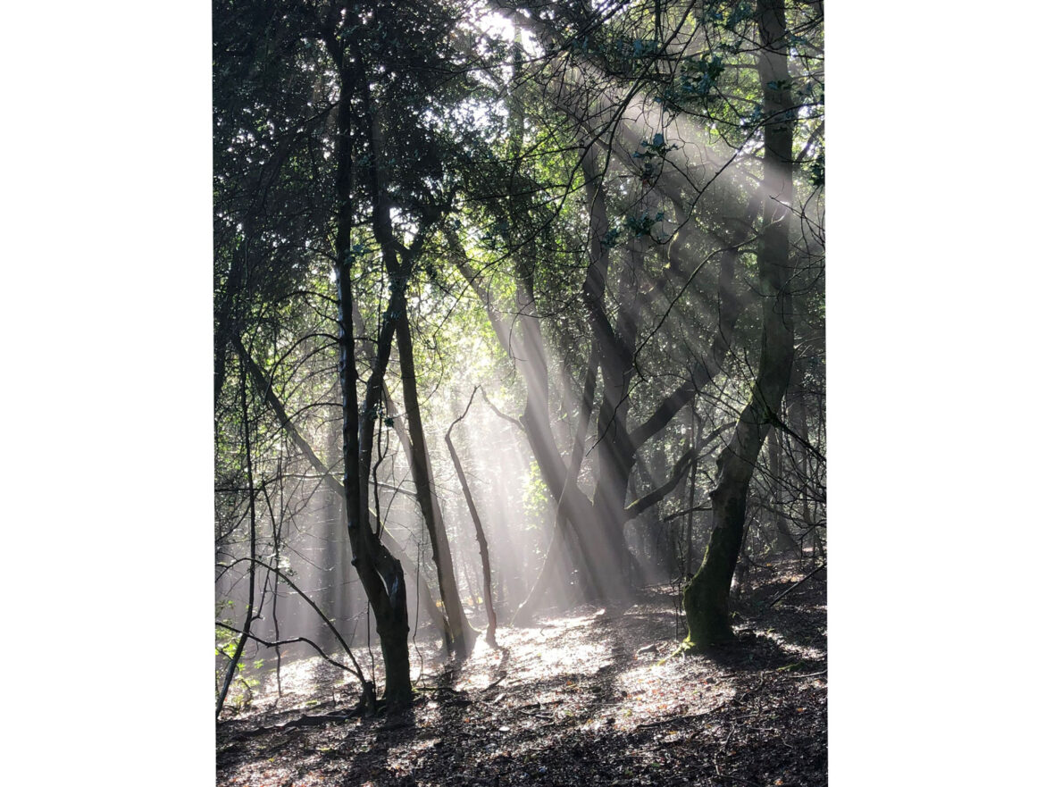 Devils-Punch-Bowl-Hindhead-Common.jpg