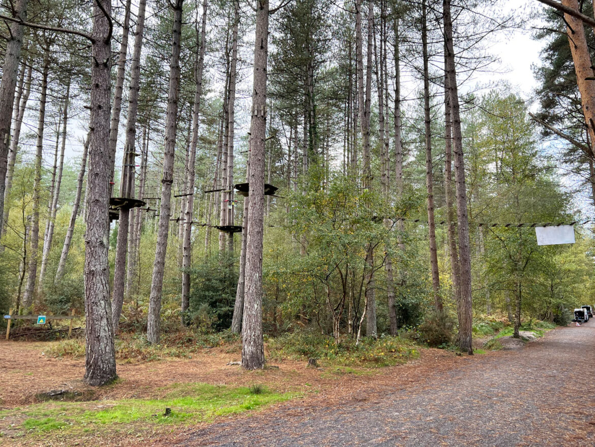 Moors-Valley-Country-Park-Adventure-Play-Areas-208.jpg