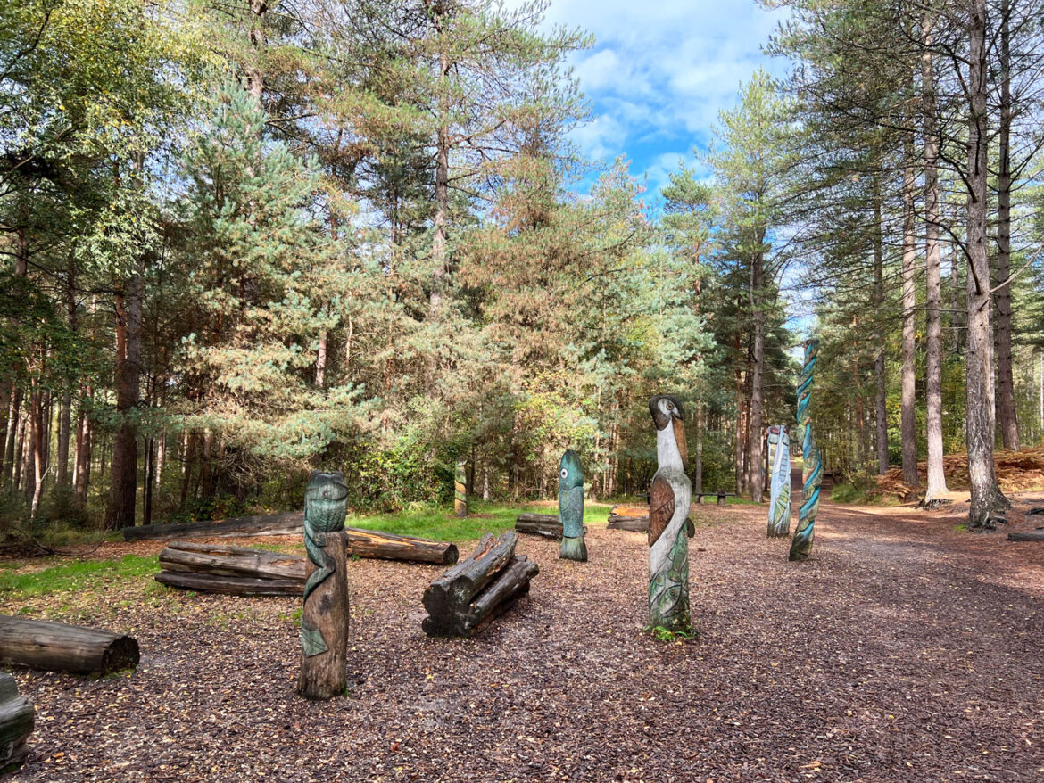 Moors-Valley-Country-Park-Adventure-Play-Areas-211.jpg