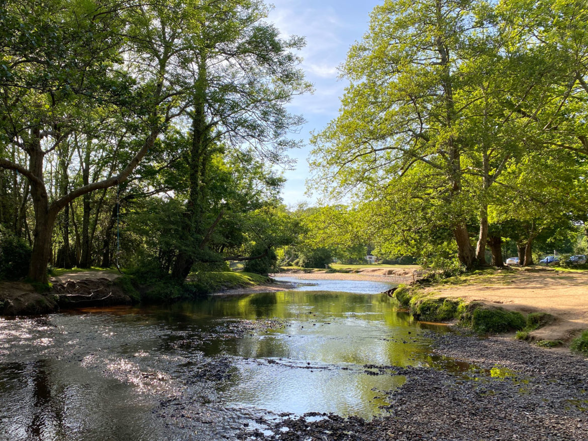 Balmer-Lawn-Paddling-Brockenhurs-New-Forest-Hampshire-04.jpg