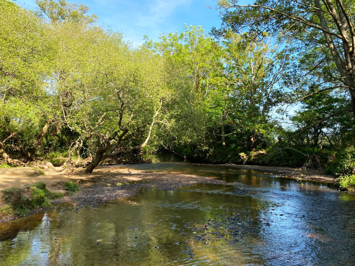 Balmer-Lawn-Paddling-Brockenhurs-New-Forest-Hampshire-07.jpg